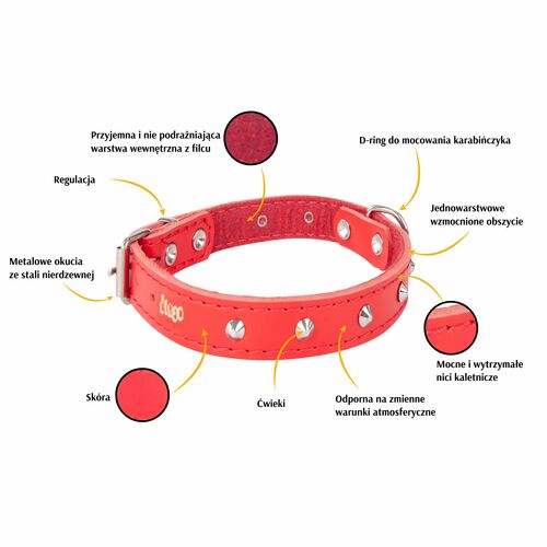 Product photo Classic Decorative Leather Collar 2