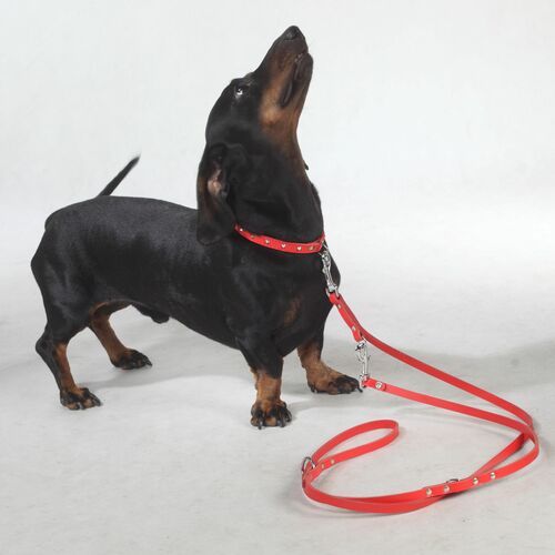 Product photo Classic Decorative Leather Collar 6