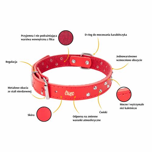 Product photo Classic Decorative Leather Collar 2