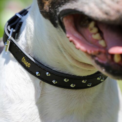 Product photo Classic Decorative Leather Collar 4