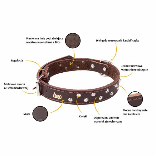 Product photo Classic Decorative Leather Collar 2