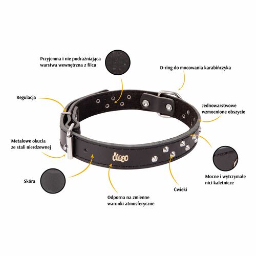 Product photo Classic Decorative Leather Collar 2