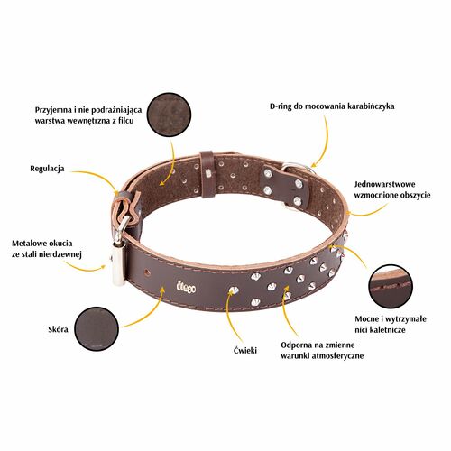 Product photo Classic Decorative Leather Collar 2