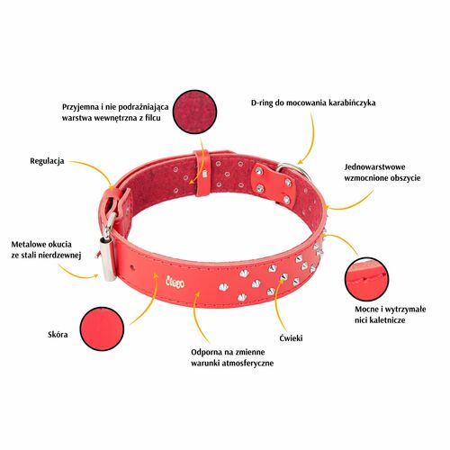 Product photo Classic Decorative Leather Collar 2