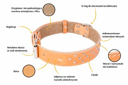 Product photo Classic Decorative Leather Collar 2
