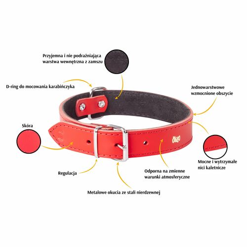 Product photo Classic Leather Collar, Padded With Suede 2