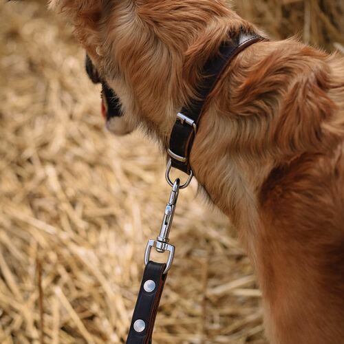 Product photo Classic Leather Greyhound Collar 3