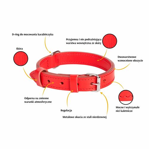 Product photo Classic Double Leather Collar 2