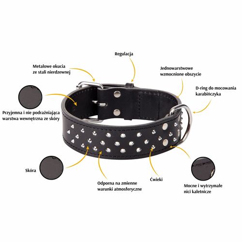 Product photo Classic Leather Extra Collar With Studs 2