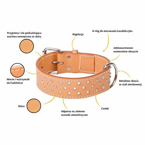 Product photo Classic Leather Extra Collar With Studs 2