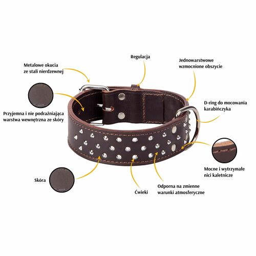 Product photo Classic Leather Extra Collar With Studs 2