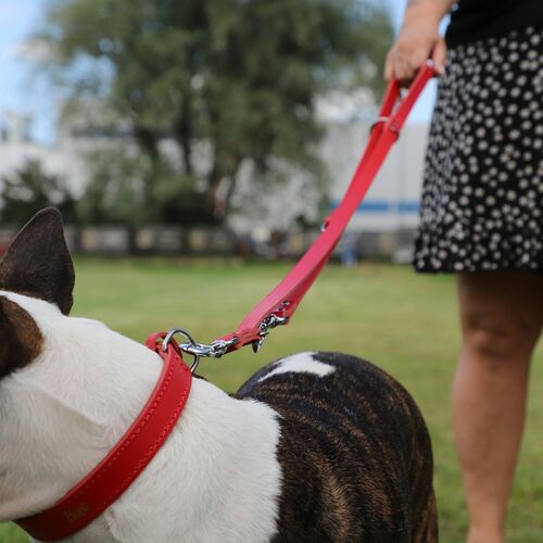 Product photo Classic Leather Extendable Leash 9