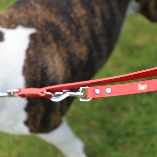 Product photo Classic Leather Extendable Leash 11