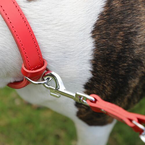 Product photo Classic Leather Extendable Leash 6