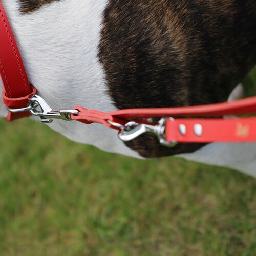 Product photo Classic Leather Extendable Leash 8