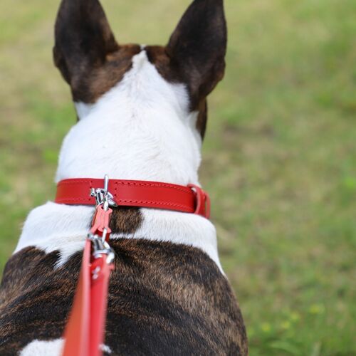 Product photo Classic Leather Extendable Leash 14