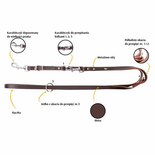 Product photo Classic Leather Extendable Leash, Changable Snap-Hook 4