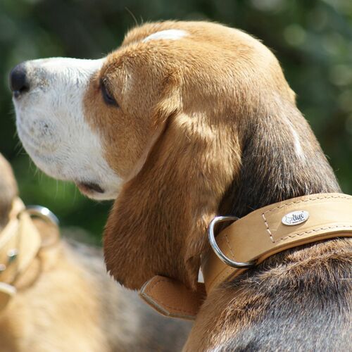 Product photo Soft Leather Collar 10