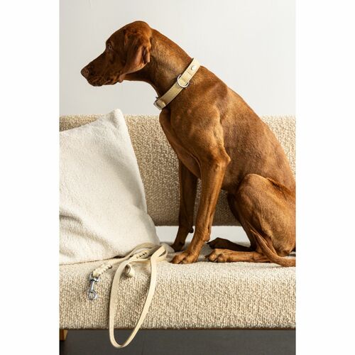 Product photo Soft Leather Braided Leash 4