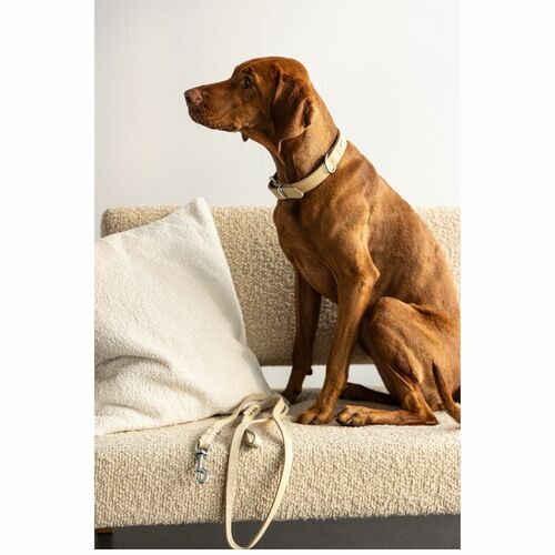 Product photo Soft Leather Braided Leash 5