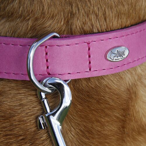 Product photo Premium Soft Leather Collar 'Boutique' 3