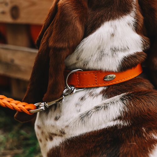 Product photo Premium Soft Leather Collar 'Boutique' 3