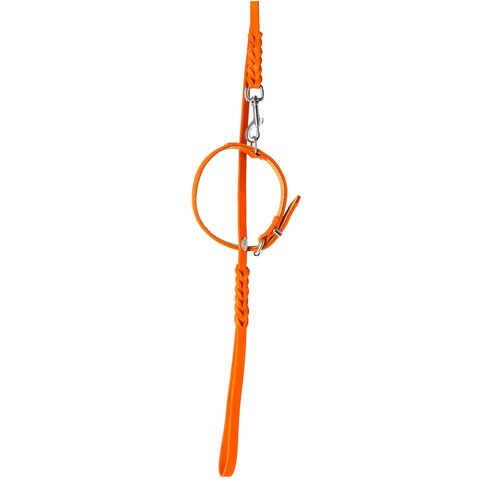 Product photo Premium Soft Leather Leash, Braided 3