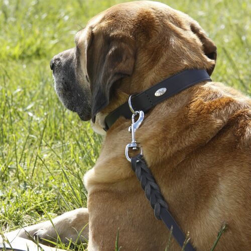 Product photo Natural Soft Leather Collar 7