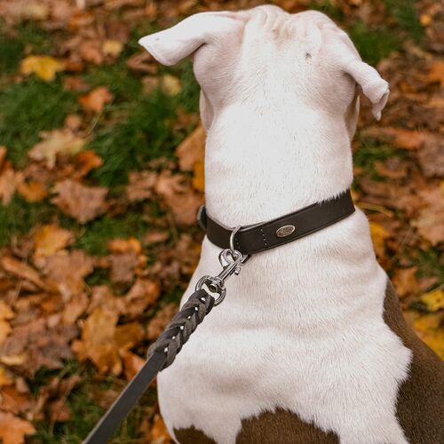Product photo Natural Soft Leather Collar 4