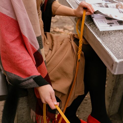 Product photo Natural Soft Leather Collar 6