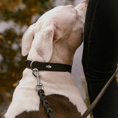 Product photo Natural Soft Leather Leash, Braided 2