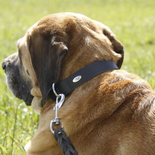 Product photo Natural Soft Leather Leash, Braided 3