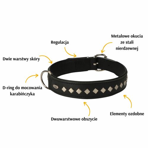 Product photo Exclusive Leather Decorative Collar 2