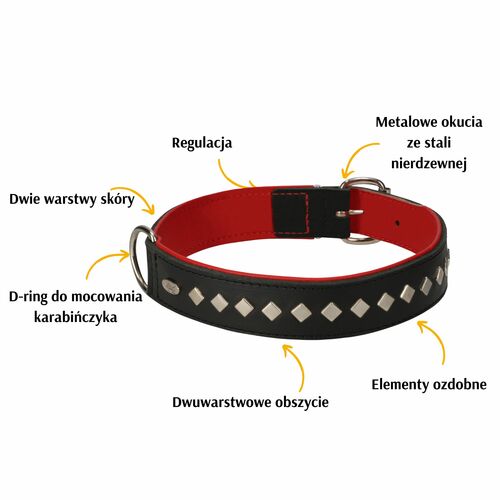 Product photo Exclusive Leather Decorative Collar 2