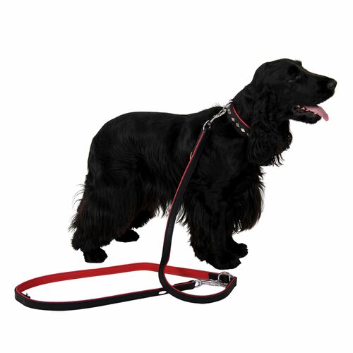 Product photo Exclusive Leather Extendable Leash 4