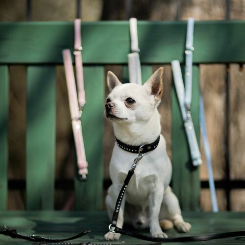 Product photo Glamour' Collar With Crystals 4