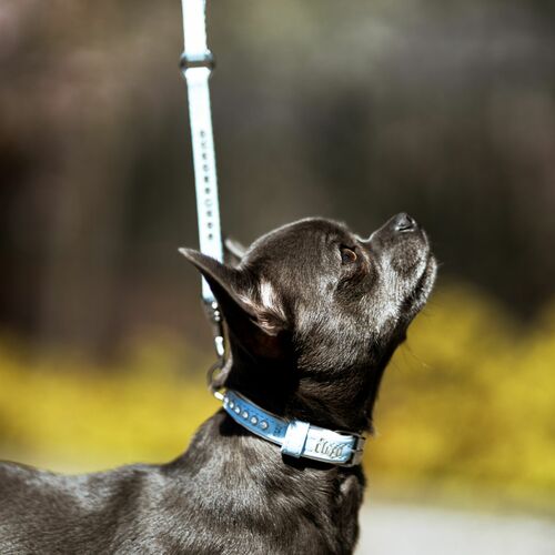 Product photo Glamour' Collar With Crystals 3