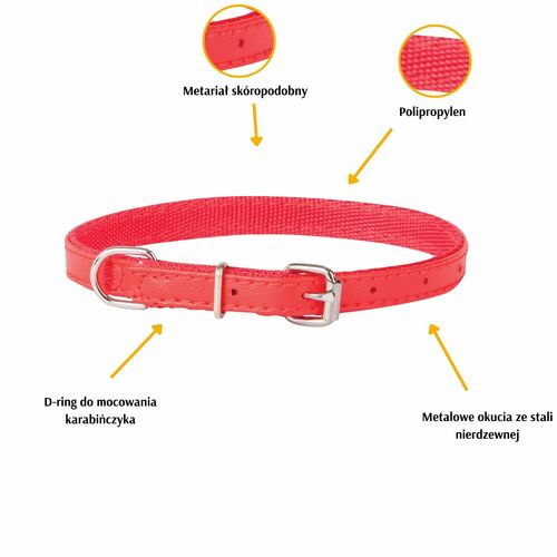 Product photo Basic Collar With Metal Buckle 2