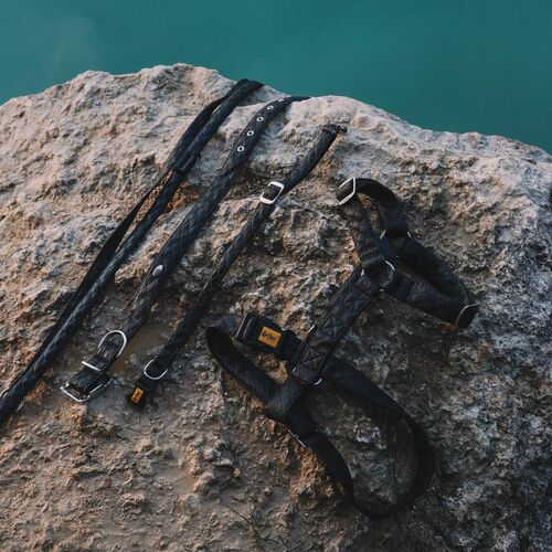 Product photo Terra Collar With Plastic Buckle 8