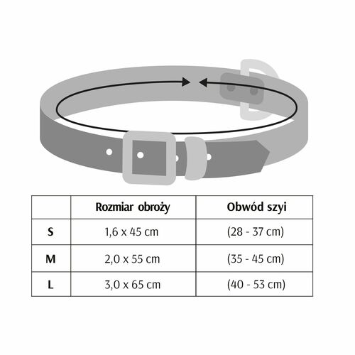 Product photo Terra Collar With Metal Buckle 4