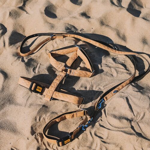 Product photo Terra Collar With Metal Buckle 4