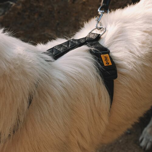 Product photo Terra Guard Harness 9
