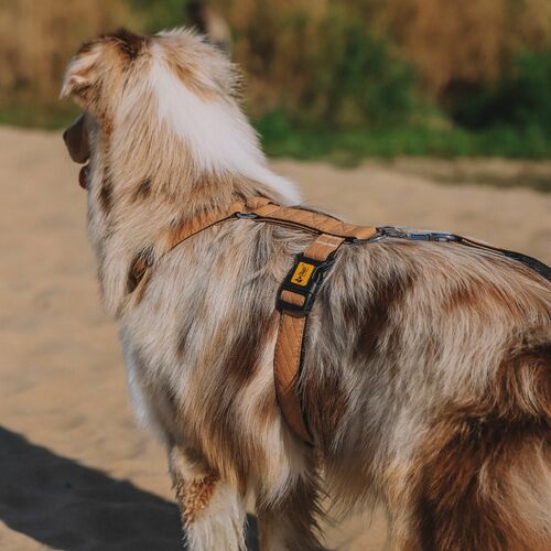Product photo Terra Guard Harness 3