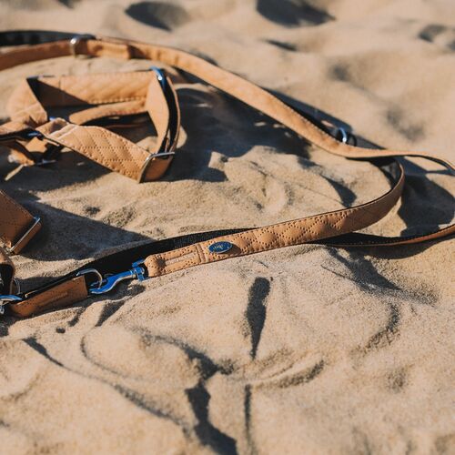Product photo Terra Extendable Leash 4