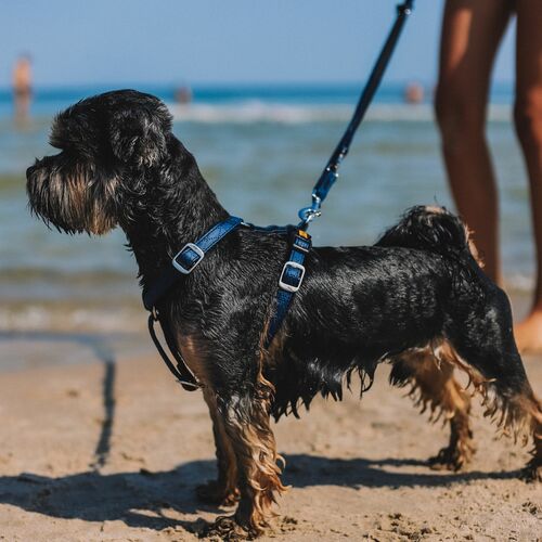 Product photo Terra Guard Harness 3