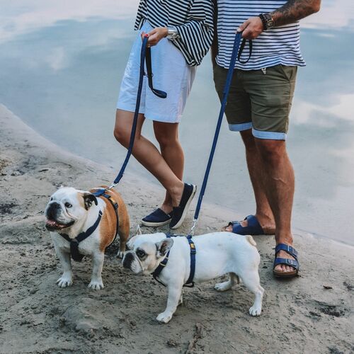 Product photo Terra Extendable Leash 3