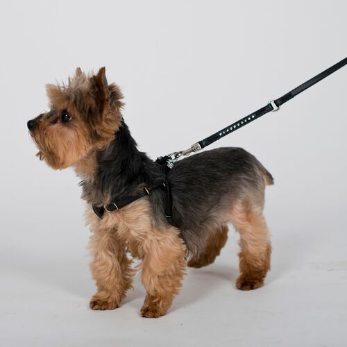 Product photo New York Step-In Harness 12
