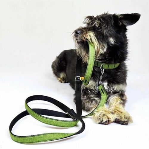 Product photo Scandi Extendable Leash 3