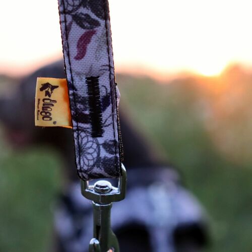 Product photo America Leash - Georgia 6