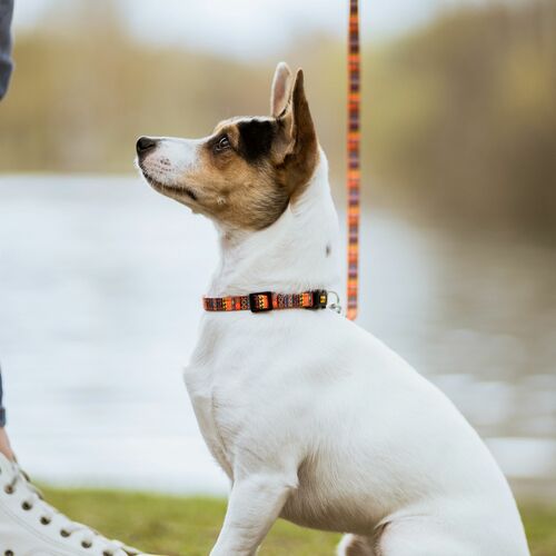 Product photo America Leash-Mexico Mini 2